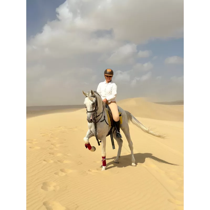 Tombe, Dune e Regni, a cavallo in Egitto