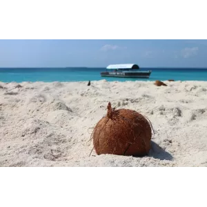 Viaggio di gruppo in Kenya - safari e mare 2