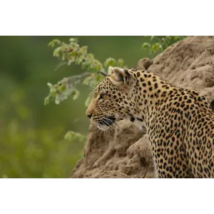 Sudafrica Experience 2027
