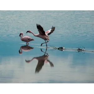 Namibia Experience 2