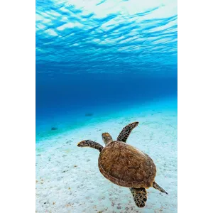 Seychelles esclusive