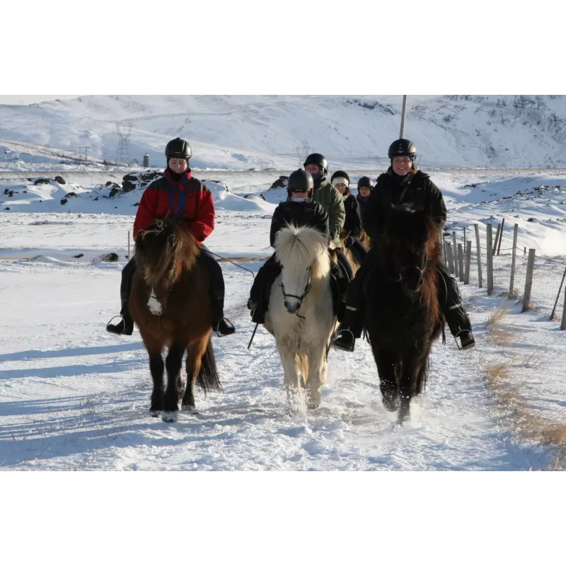 Andare a cavallo in Islanda. Sulla scia dell'aurora boreale