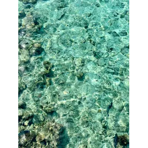 Maldive Autentiche