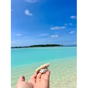 Maldive Autentiche 2